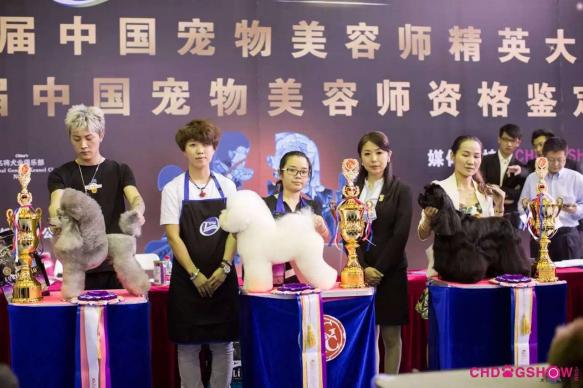 中国宠物美容师精英大赛获奖合影