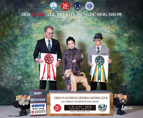 香港中国国际犬展获奖合影