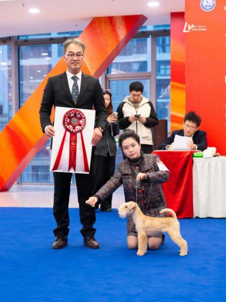 犬展比赛获奖合影