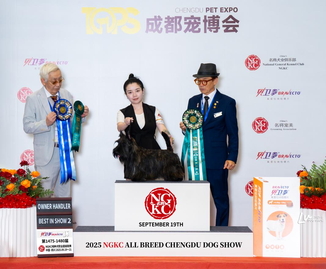 成都宠博会全犬种犬展领奖台