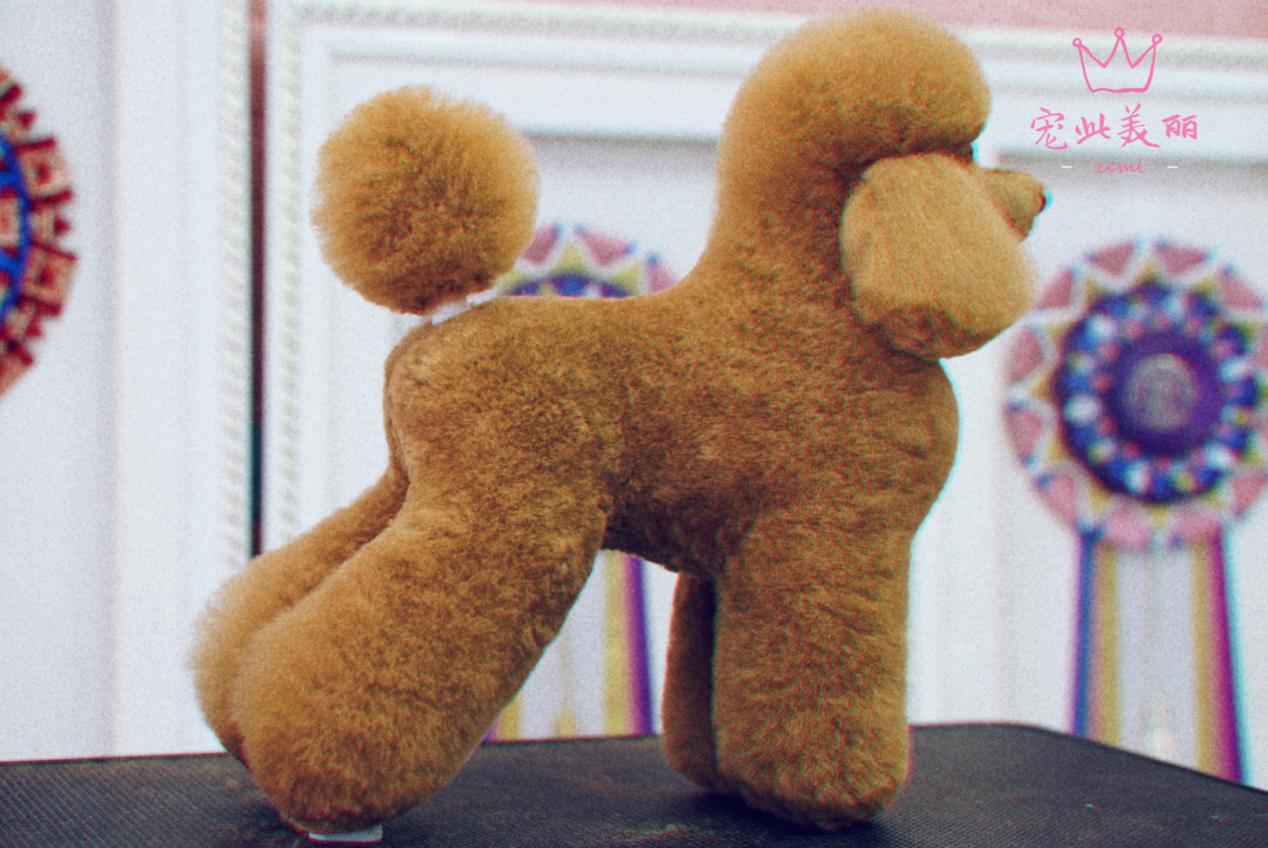 贵宾赛级模型修剪作品（侧面）